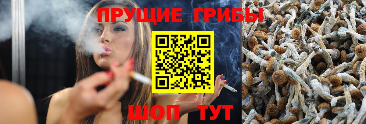 Псилоцибиновые грибы Magic Shrooms  продажа наркотиков  Галлюциногенные грибы прущие грибы  Бор  Вход с VPN 